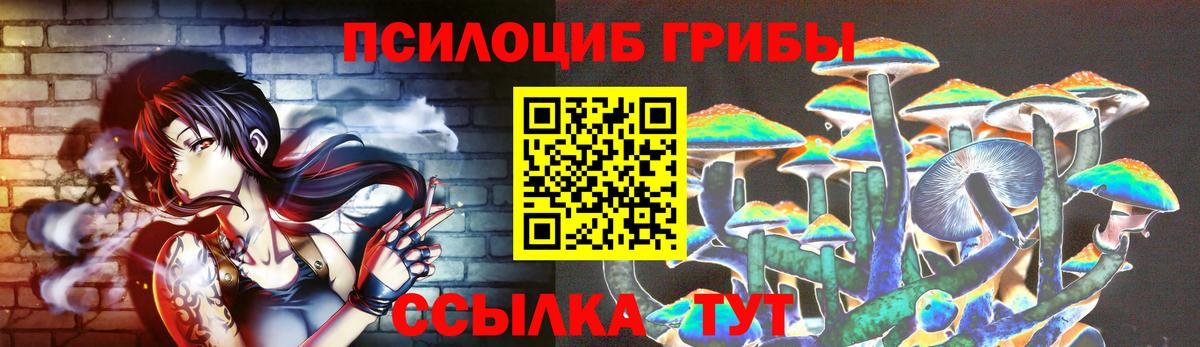 закладки  Вход с VPN  Нефтекумск  Псилоцибиновые грибы мицелий 